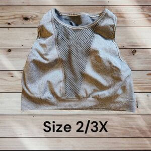 Gray Mesh Workout Sports Bra